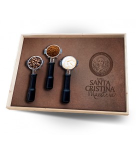 CUADRO STA CRISTINA MAESTRIA - 2025 BRAZOS