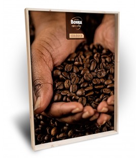 CUADRO MOD.1 BONKA - 2025 MOD.2