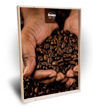 CUADRO BONKA - 2025 MOD.3